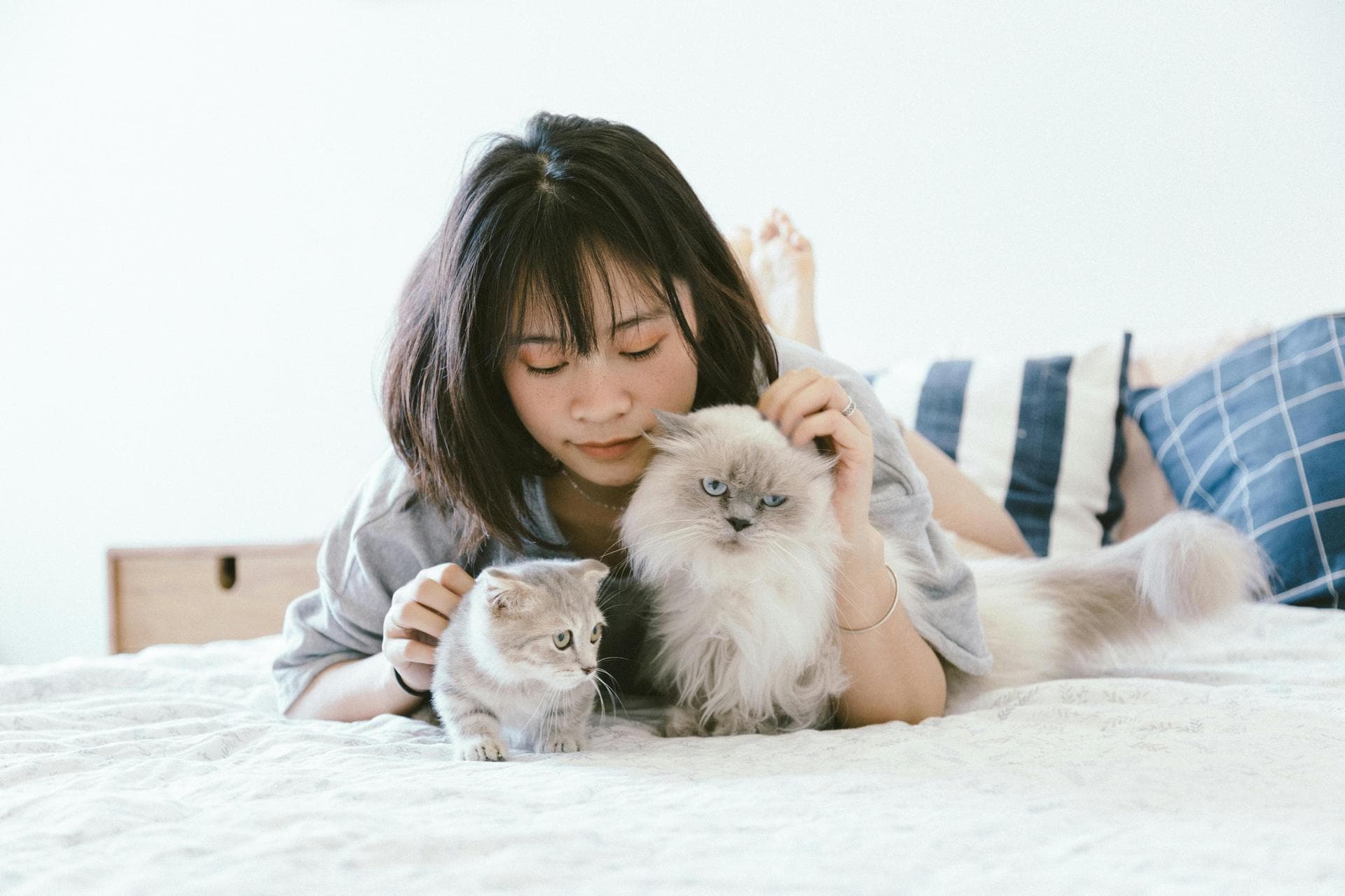 Dog & Cat Vets in Queens